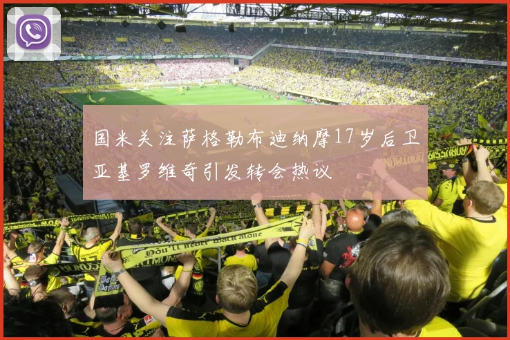 国米关注萨格勒布迪纳摩17岁后卫亚基罗维奇引发转会热议